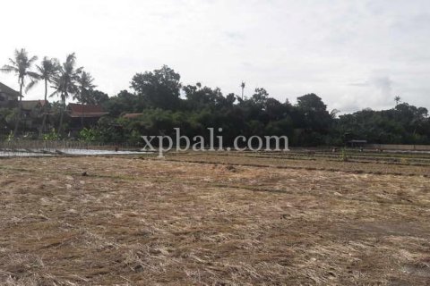 2598m2 Land in Gianyar, Bali (904) 2