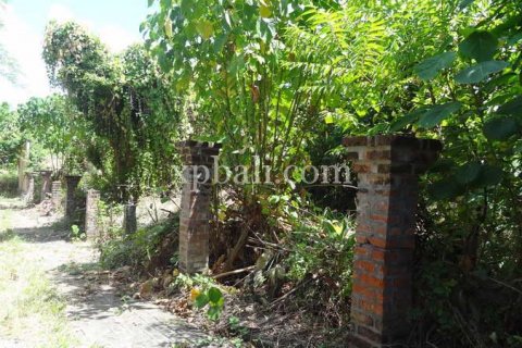 1000m2 Land in Seminyak, Badung, Bali (901) 6