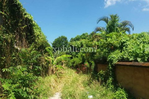 1000m2 Land in Seminyak, Badung, Bali (901) 8