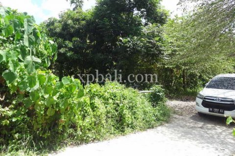 1000m2 Land in Seminyak, Badung, Bali (901) 5