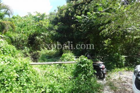 1000m2 Land in Seminyak, Badung, Bali (901) 4