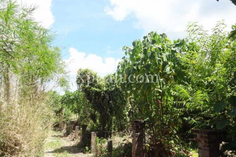 1000m2 Land in Seminyak, Badung, Bali (901) 7