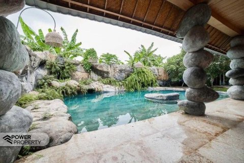 2 bedrooms Villa in Ubud, Gianyar, Bali (5772) 10