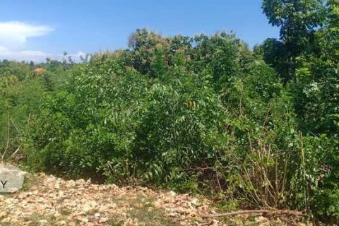 1860m2 Land in South Kuta, Badung, Bali (5769) 5