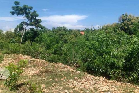 1860m2 Land in South Kuta, Badung, Bali (5769) 4