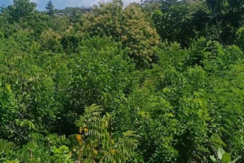Tanah kavling 1860m2 di Kuta Selatan, Badung, Bali (5769)