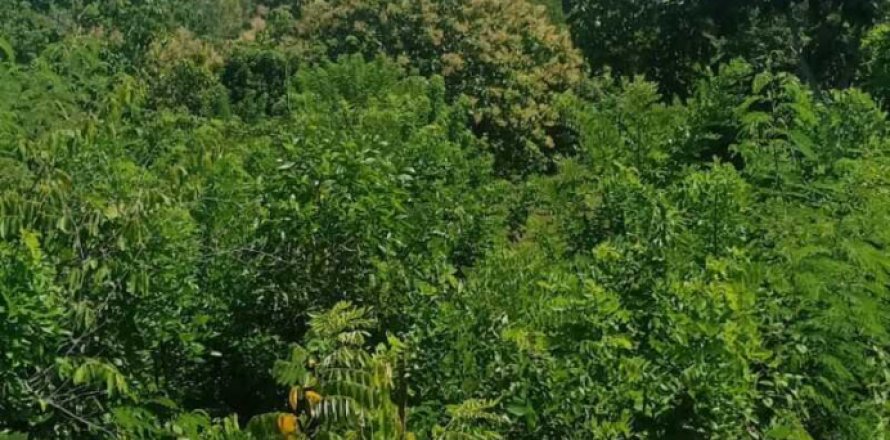 1860m2 Land in South Kuta, Badung, Bali (5769)