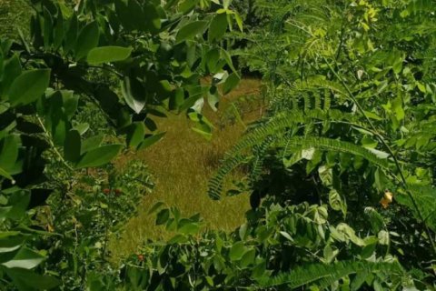 1860m2 Land in South Kuta, Badung, Bali (5769) 3