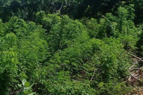 1860m2 Land in South Kuta, Badung, Bali (5769) 2