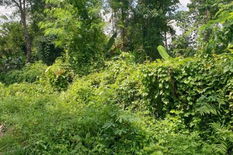 Tanah kavling 95000m2 di Ubud, Gianyar, Bali (637) 2