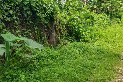 Tanah kavling 95000m2 di Ubud, Gianyar, Bali (637)