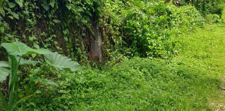 Tanah kavling 95000m2 di Ubud, Gianyar, Bali (637)
