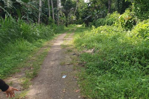 Tanah kavling 95000m2 di Ubud, Gianyar, Bali (637) 4