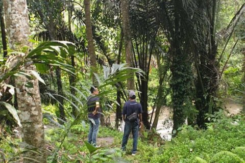 Tanah kavling 95000m2 di Ubud, Gianyar, Bali (637) 5
