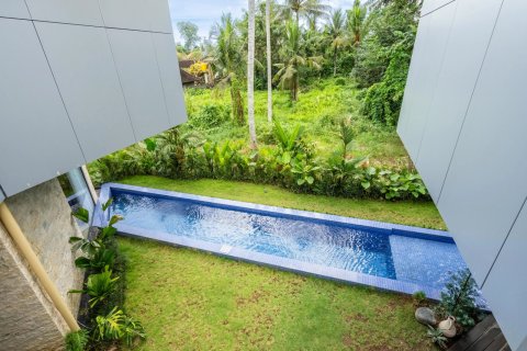 Vila 2 kamar tidur di Ubud, Gianyar, Bali (14226) 6