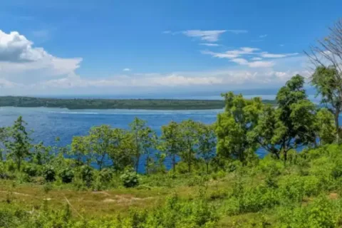 Земельный участок в Нуса Пенида, Клунгкунг, Бали (11165) 9