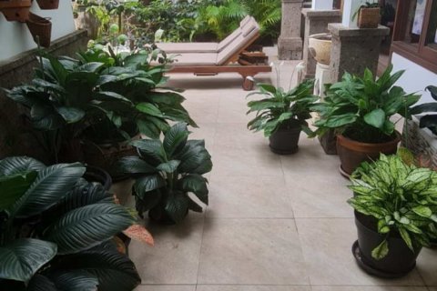 Vila 3 kamar tidur di Nusa Dua, Badung, Bali (751) 16