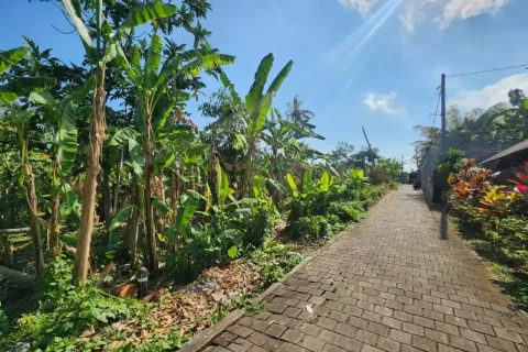 Land in Kediri, Tabanan, Bali (14140) 3