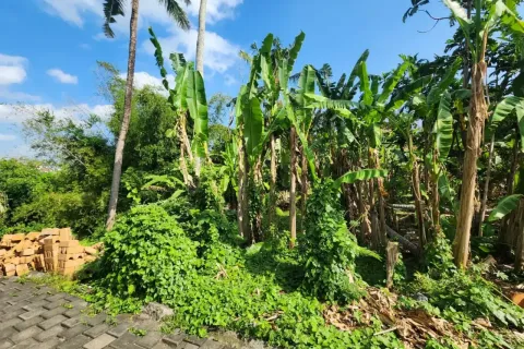 Land in Kediri, Tabanan, Bali (14140) 4