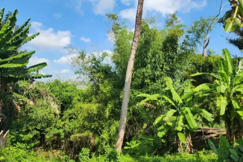 Land in Kediri, Tabanan, Bali (14140) 5