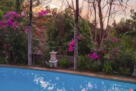 6 bedrooms Villa in Lovina, Anturan, Buleleng, Bali (11956) 7