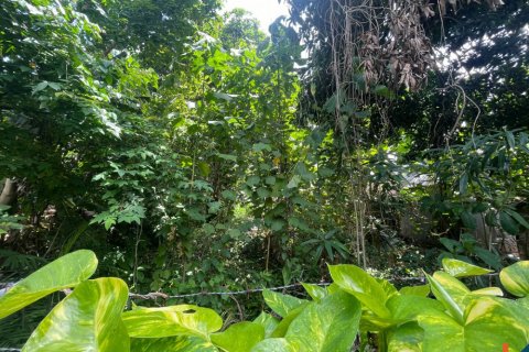 Tanah kavling di Seminyak, Badung, Bali (11958)