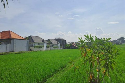 Tanah kavling 1000m2 di Cemagi, Mengwi, Badung, Bali (5831)