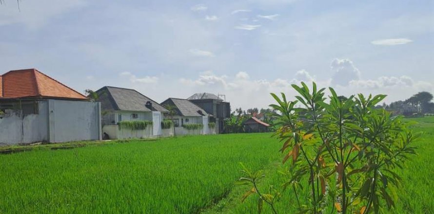 Tanah kavling 1000m2 di Cemagi, Mengwi, Badung, Bali (5831)