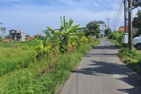 Tanah kavling 1000m2 di Cemagi, Mengwi, Badung, Bali (5831) 2