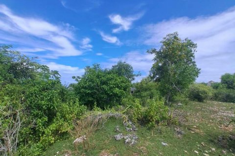 Tanah kavling 3900m2 di Kuta Selatan, Badung, Bali (5829)