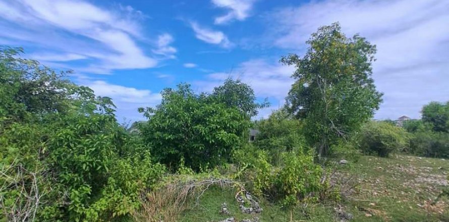 3900m2 Land in South Kuta, Badung, Bali (5829)