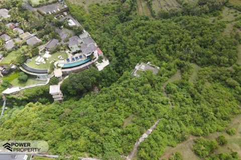 3900m2 Land in South Kuta, Badung, Bali (5829) 16