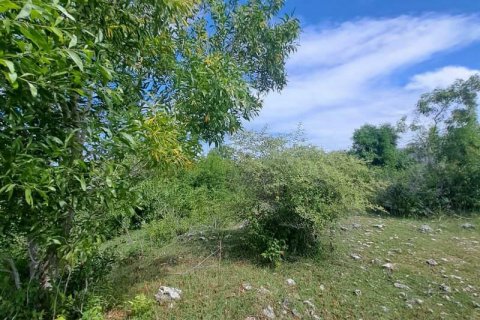 3900m2 Land in South Kuta, Badung, Bali (5829) 3