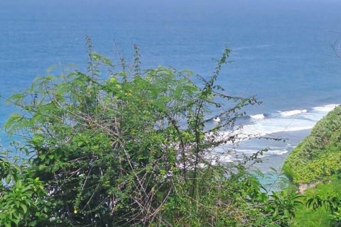 3900m2 Land in South Kuta, Badung, Bali (5829) 4