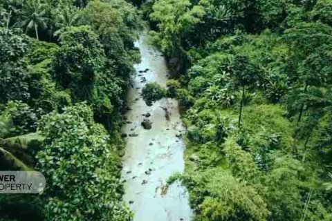 1500m2 Land in Tabanan, Bali (9783) 3