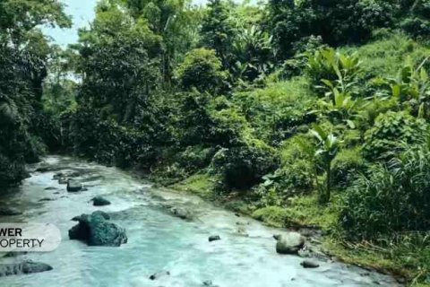 1500m2 Land in Tabanan, Bali (9783) 4