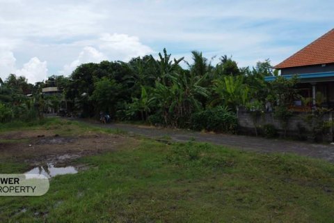 400m2 Land in Tabanan, Bali (9786) 4