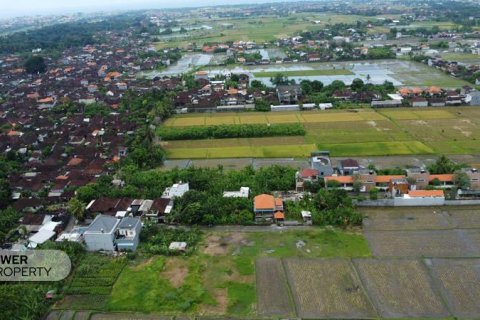 400m2 Land in Tabanan, Bali (9786) 10