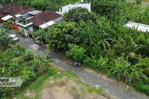 400m2 Land in Tabanan, Bali (9786) 15