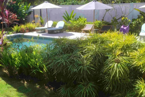 6 bedrooms Villa in South Kuta, Badung, Bali (9277) 3