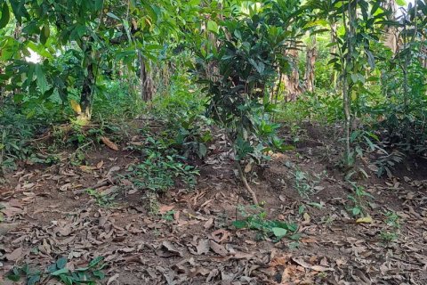 2650m2 Land in Tabanan, Bali (680) 6