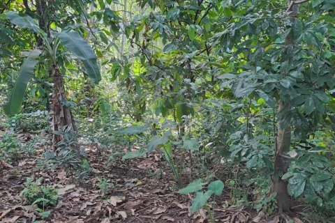 2650m2 Land in Tabanan, Bali (680) 7