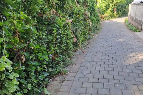 2650m2 Land in Tabanan, Bali (680) 3