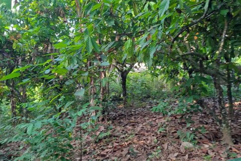 2650m2 Land in Tabanan, Bali (680) 8