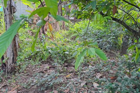2650m2 Land in Tabanan, Bali (680) 10