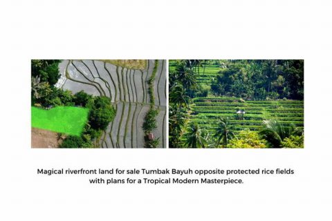 Tanah kavling 844m2 di Canggu, Badung, Bali (683) 7