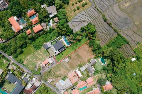 Tanah kavling 844m2 di Canggu, Badung, Bali (683) 3