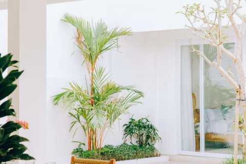 3 bedrooms Villa in Canggu, Badung, Bali (681) 29