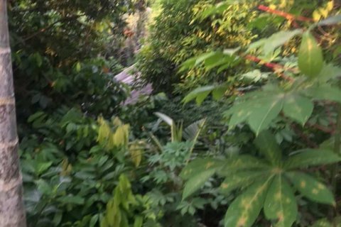 Tanah kavling 2400m2 di Tabanan, Bali (679) 10