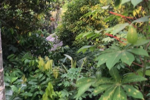 Tanah kavling 2400m2 di Tabanan, Bali (679) 2